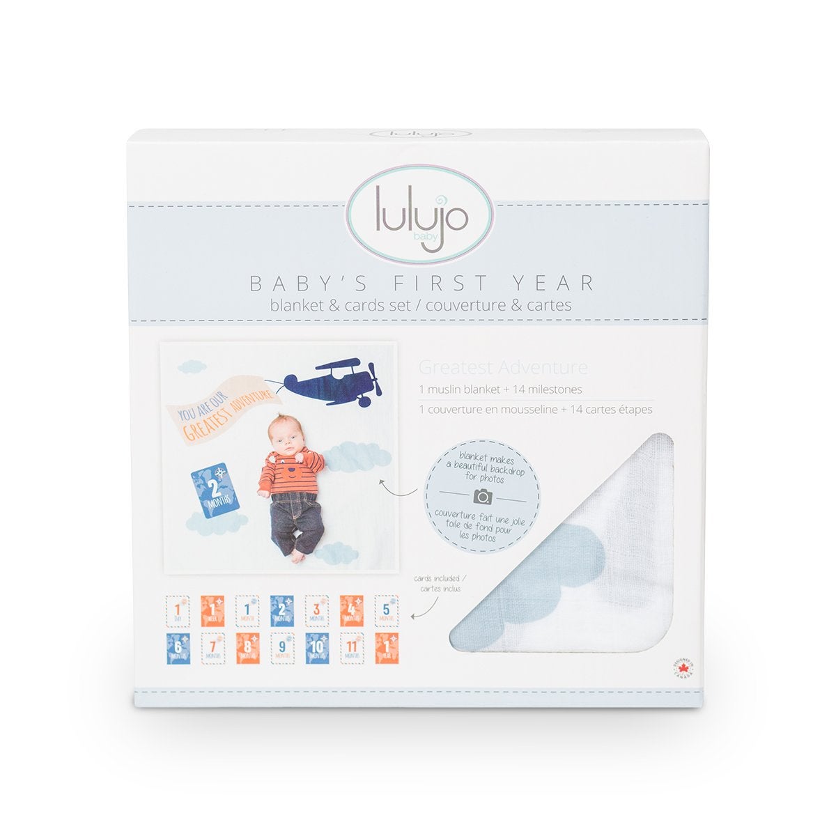 Lulujo Baby s First Year Blanket Cards Set Assorted Prints
